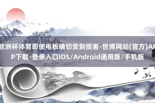 欧洲杯体育即使电板确切受到损害-世博网站(官方)APP下载-登录入口IOS/Android通用版/手机版