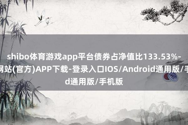 shibo体育游戏app平台债券占净值比133.53%-世博网站(官方)APP下载-登录入口IOS/Android通用版/手机版